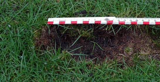 Divot size depending on grass species and soccer cleats.